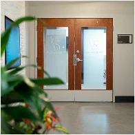Modern wood and glass double entry doors in contemporary foyer with plants and tile flooring